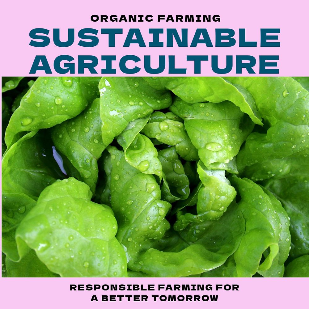 Sustainable agriculture Instagram post template, editable design