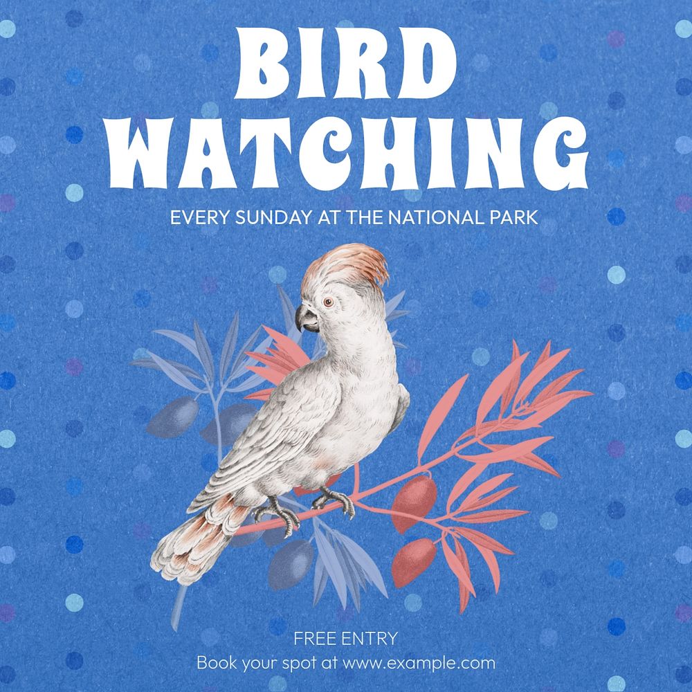 Bird watching Instagram post template, editable design