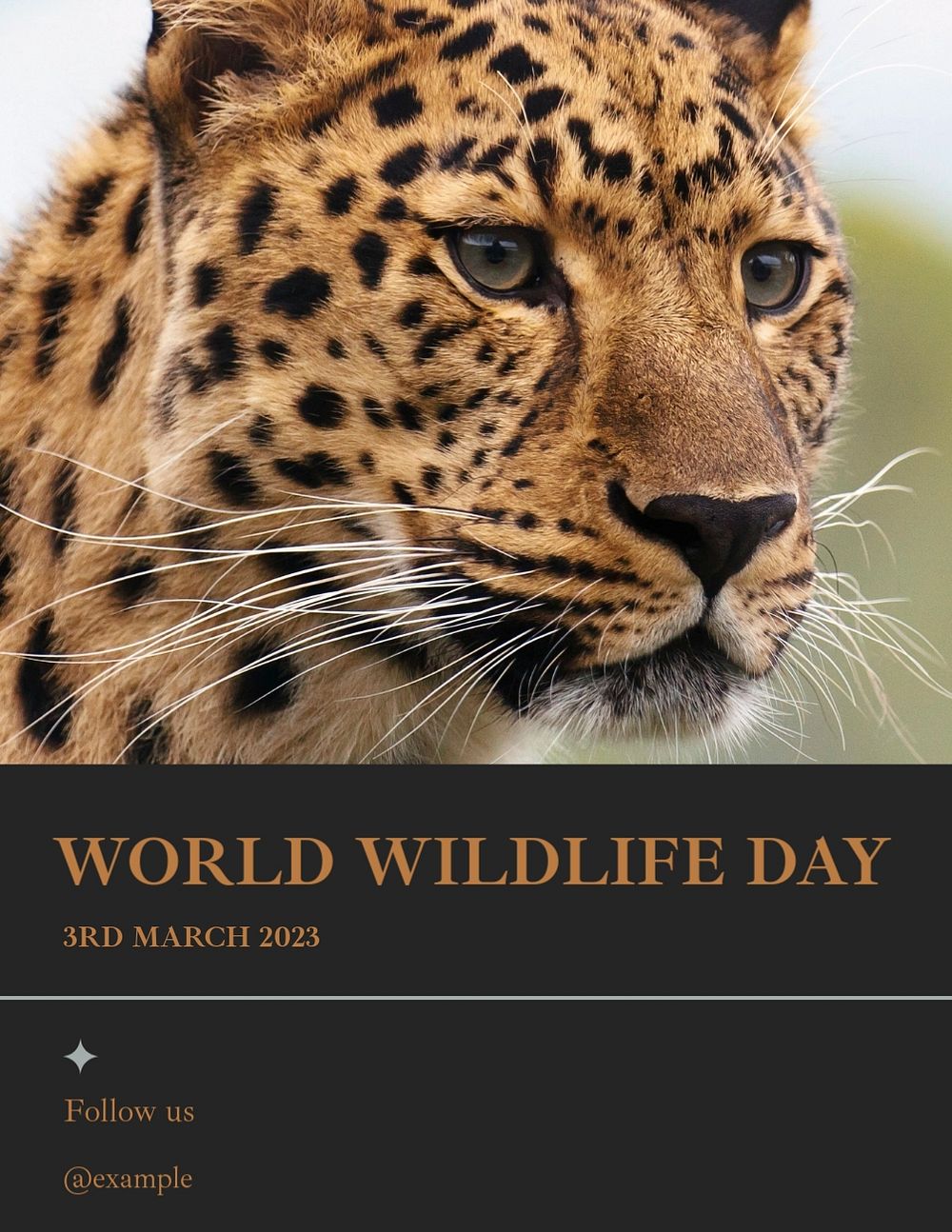 World wildlife day flyer template, editable text & design