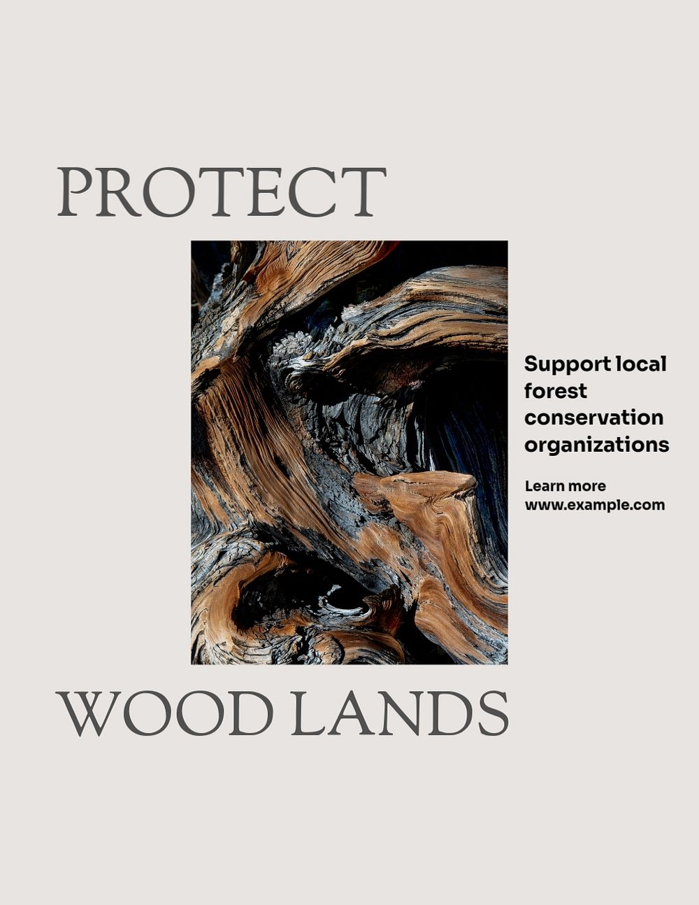 Protect woodlands flyer template, editable text & design