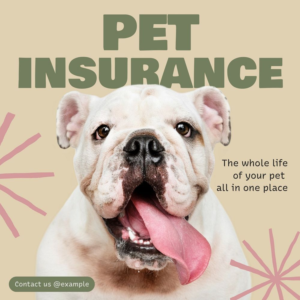 Pet insurance Instagram post template, editable text