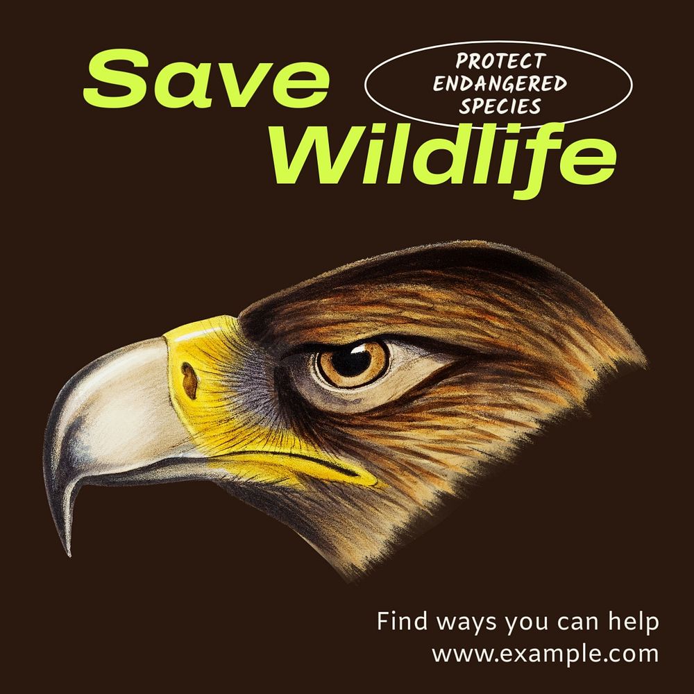 Save wildlife Instagram post template, editable text