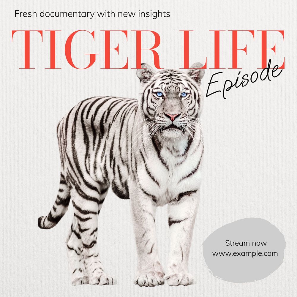 Tiger documentary Instagram post template, editable text