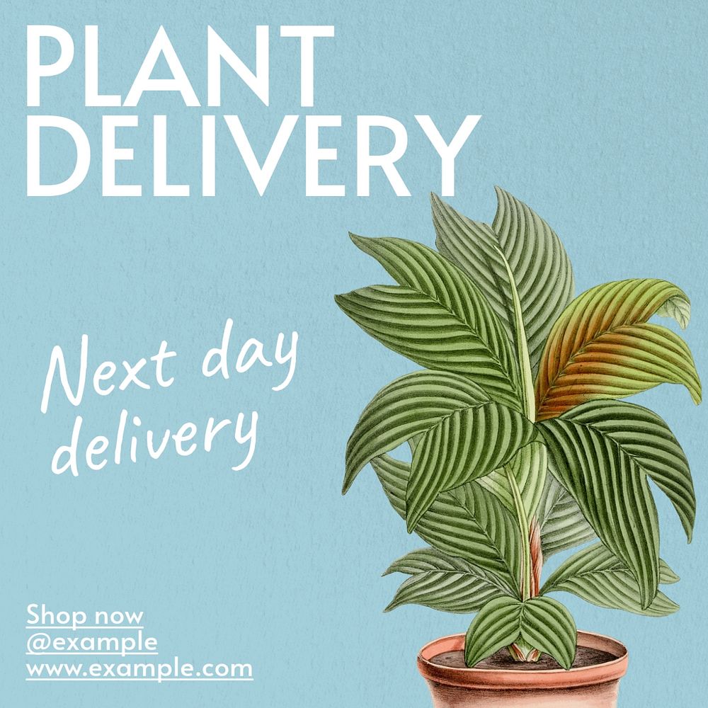 Plant delivery Instagram post template, editable text