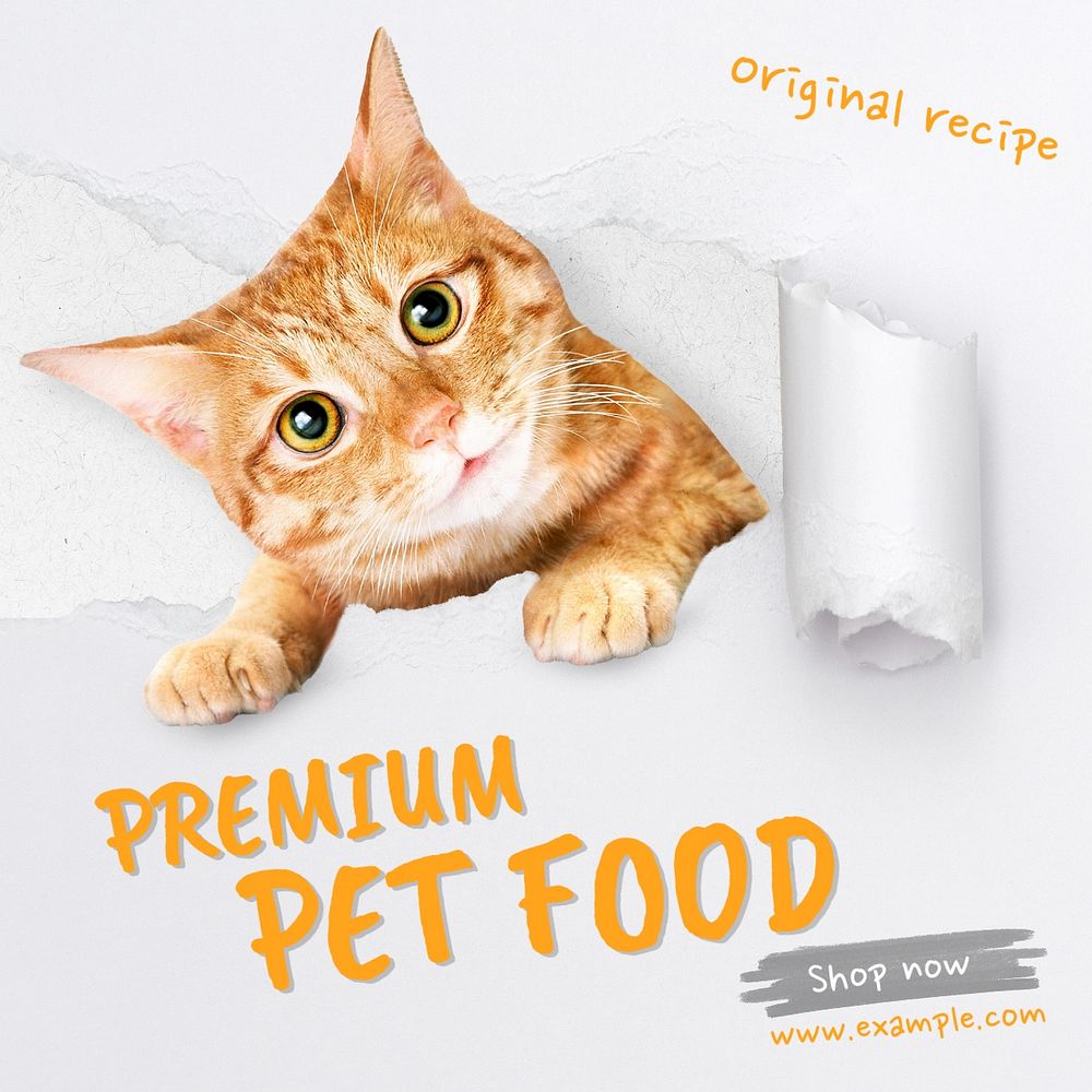 Premium pet food Instagram post template, editable text