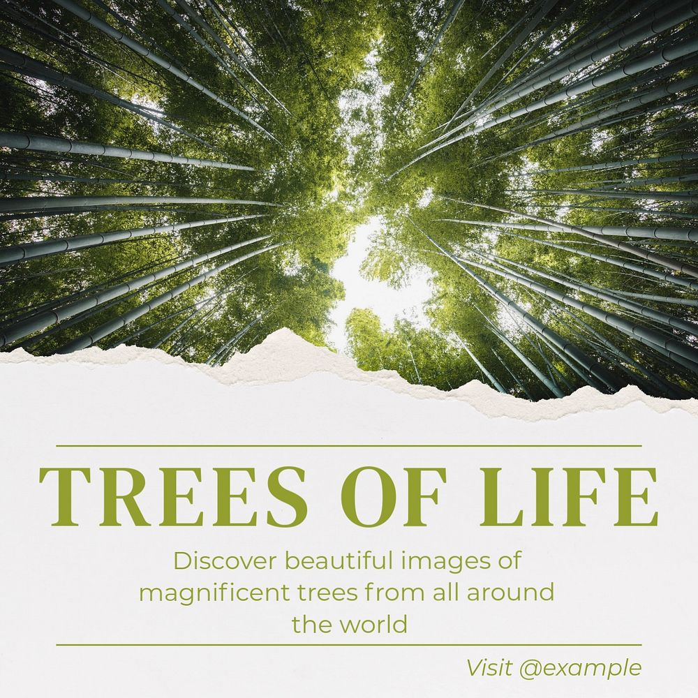 Trees of life Instagram post template, editable text