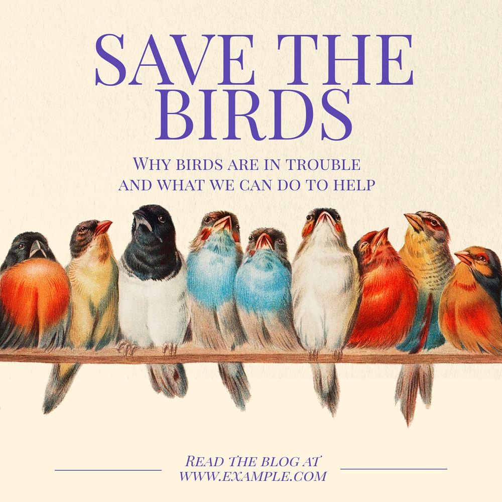 Save the birds Instagram post template, editable text