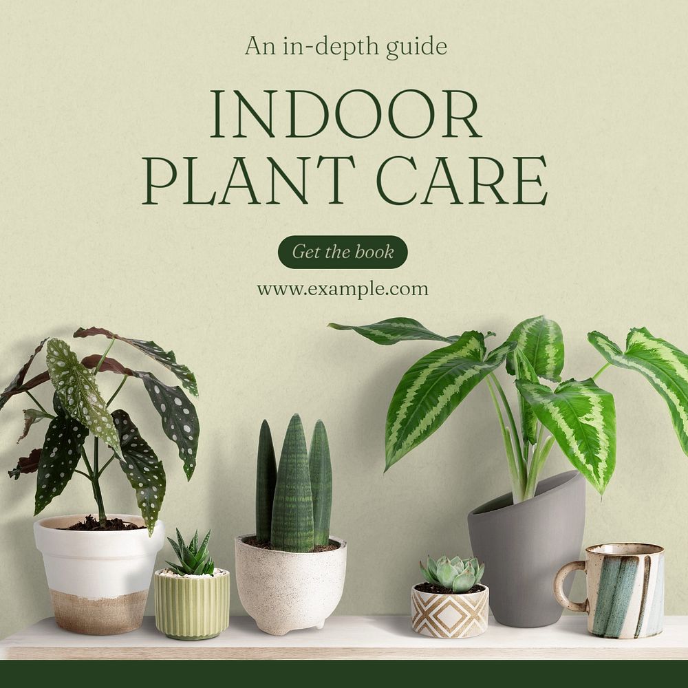 Indoor plant care Instagram post template, editable text