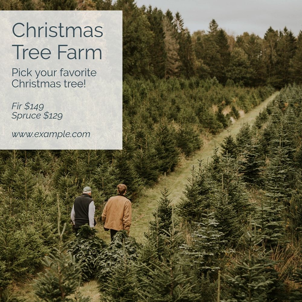 Christmas tree farm  Instagram post template, editable text