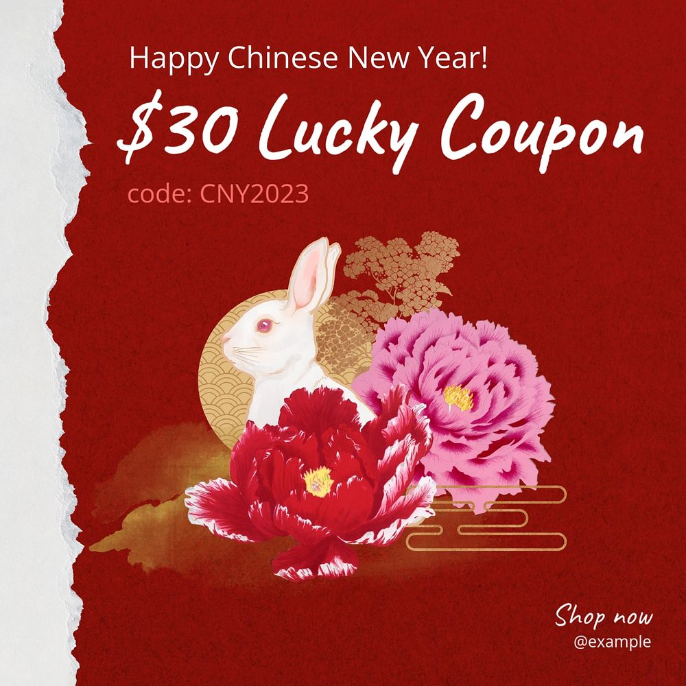 Lucky coupon Instagram post template, editable text