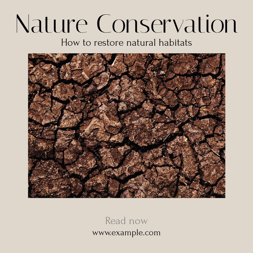 Nature conservation  Instagram post template, editable text