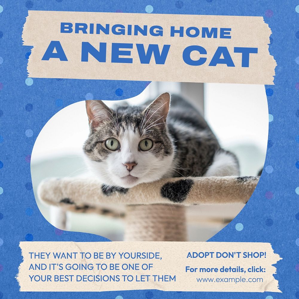 Adopt cat Instagram post template, editable text