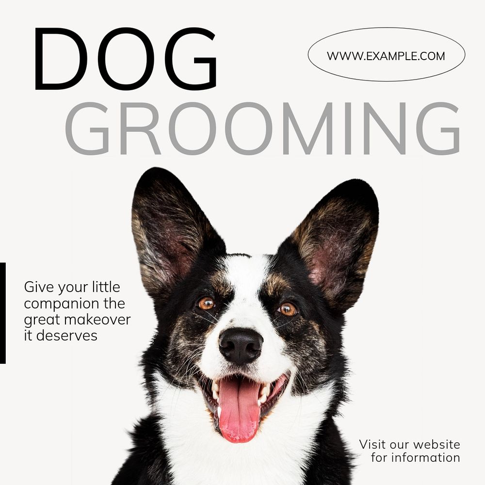 Dog grooming Instagram post template, editable text