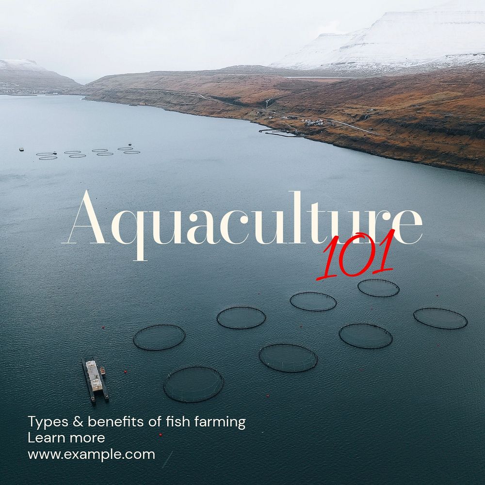 Fish farming Instagram post template, editable text