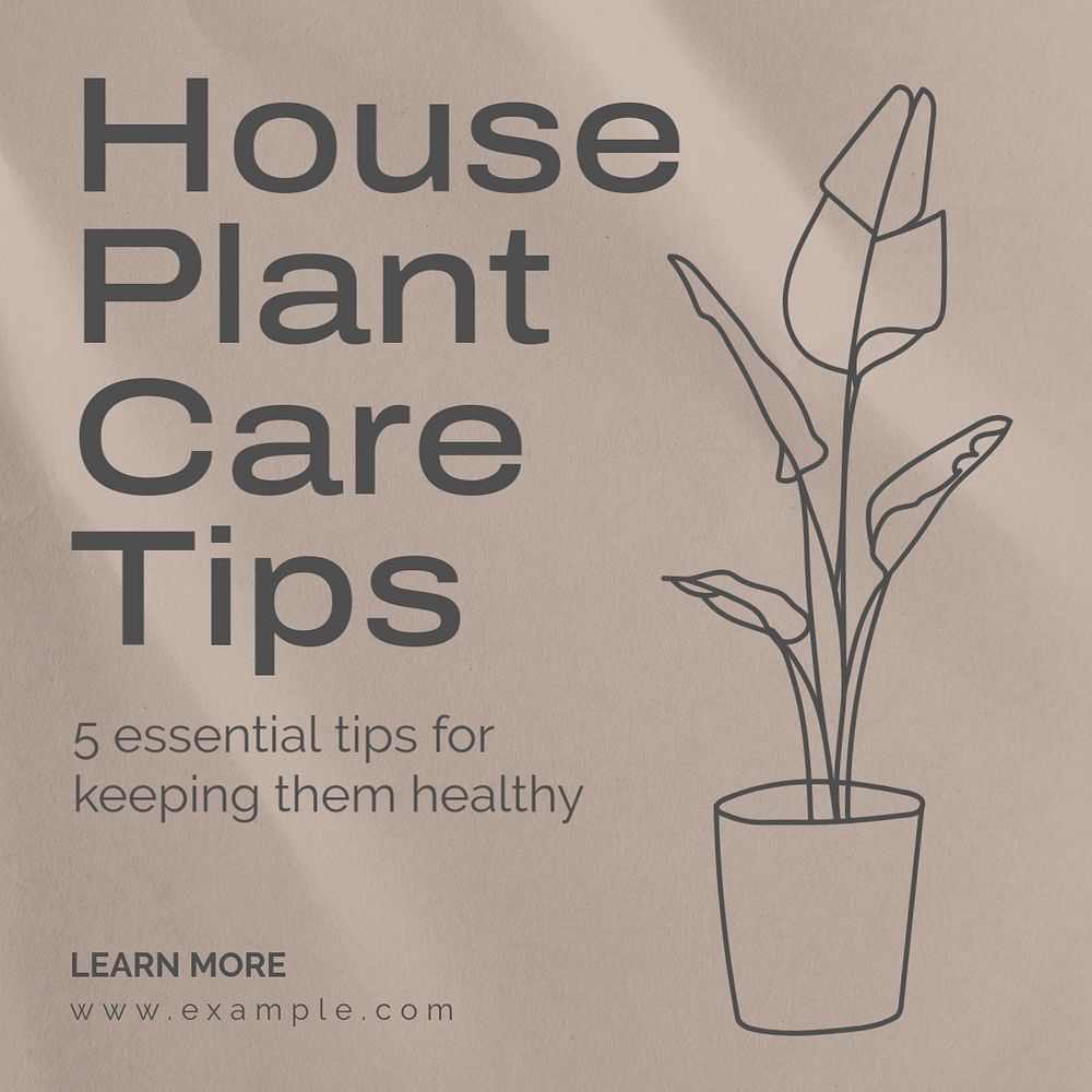 House plant care Instagram post template, editable text