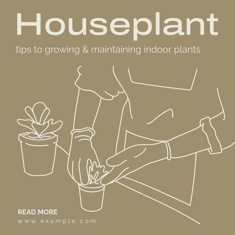 Houseplant tips Instagram post template, editable text