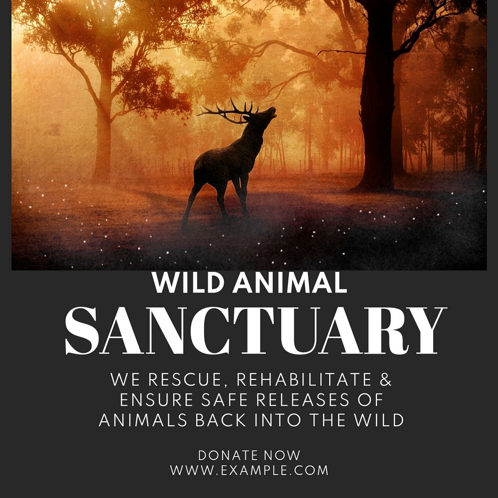 Wildlife sanctuary Instagram post template, editable text