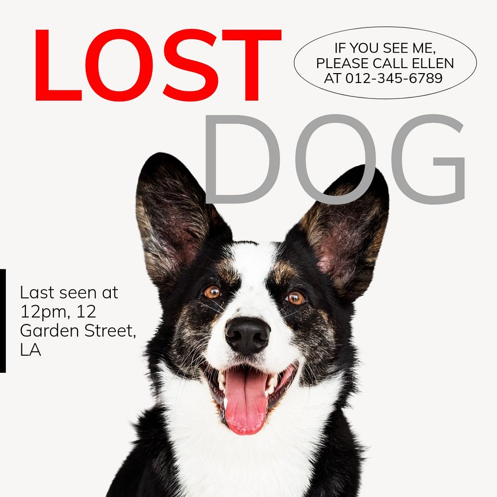 Lost dog Instagram post template, editable text