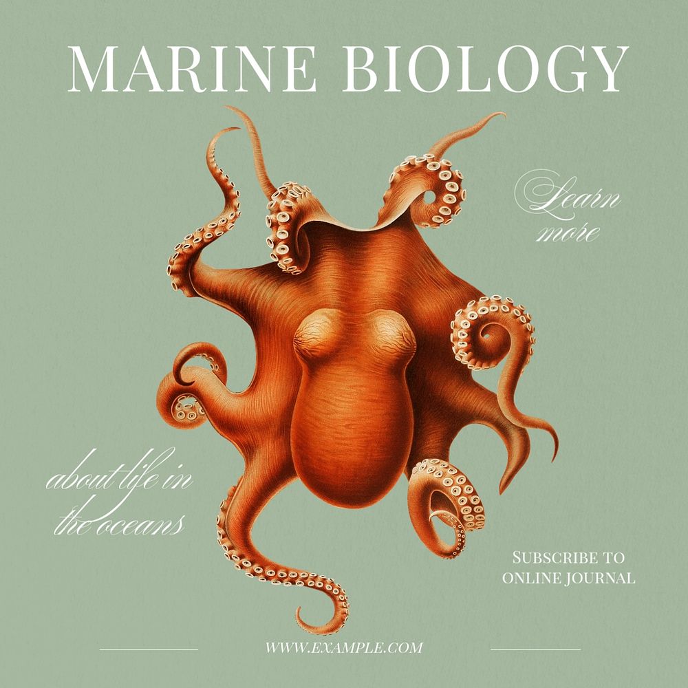 Marine biology Instagram post template, editable text