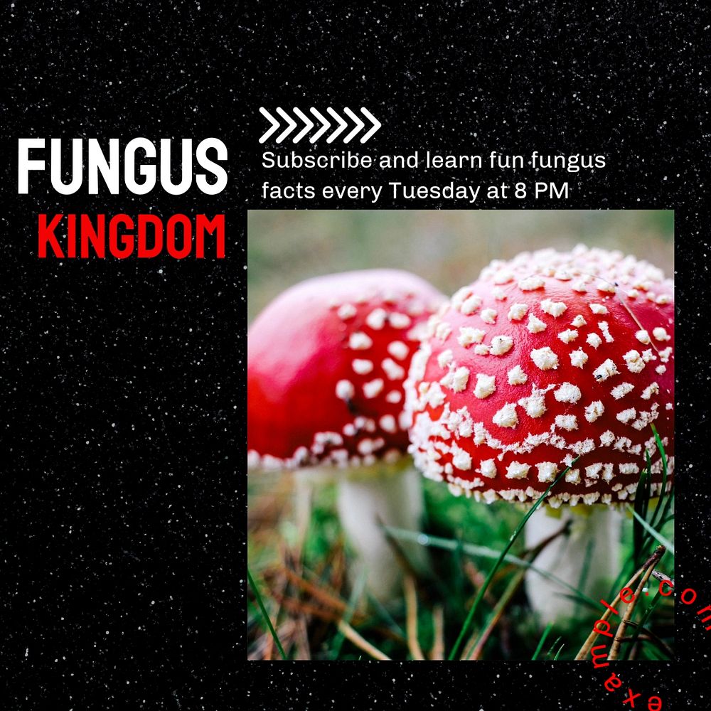 Fungus kingdom  Instagram post template, editable text