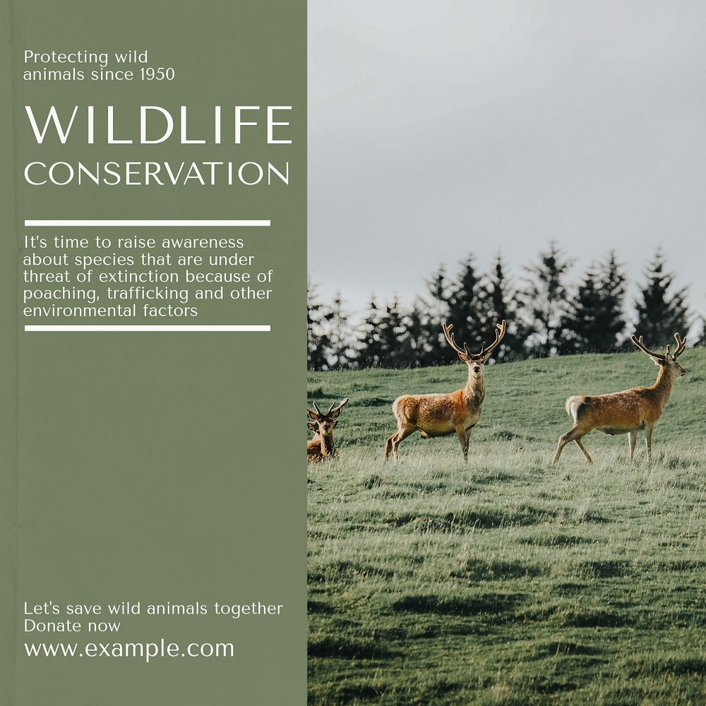 Wildlife conservation  Instagram post template, editable text