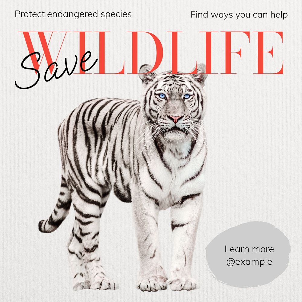 Save wildlife Instagram post template, editable text