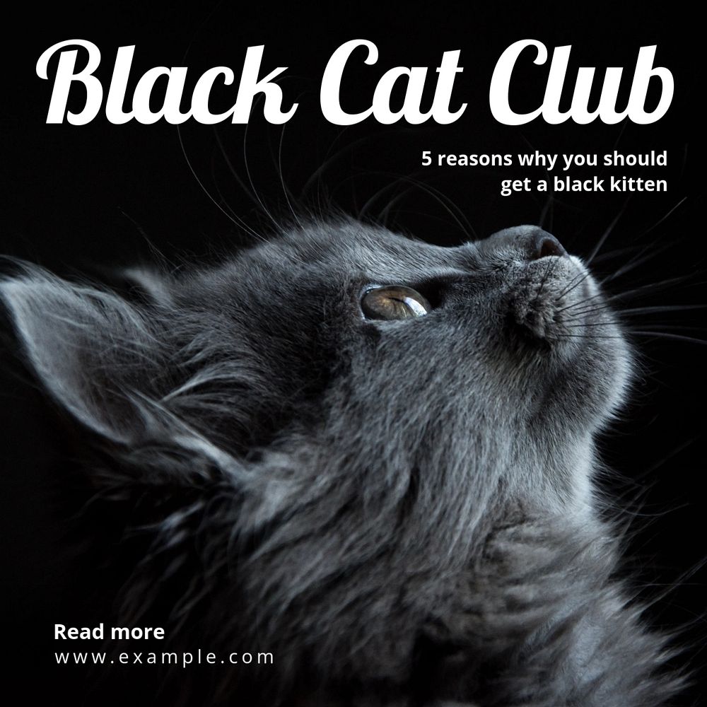 Black cat club Instagram post template, editable text