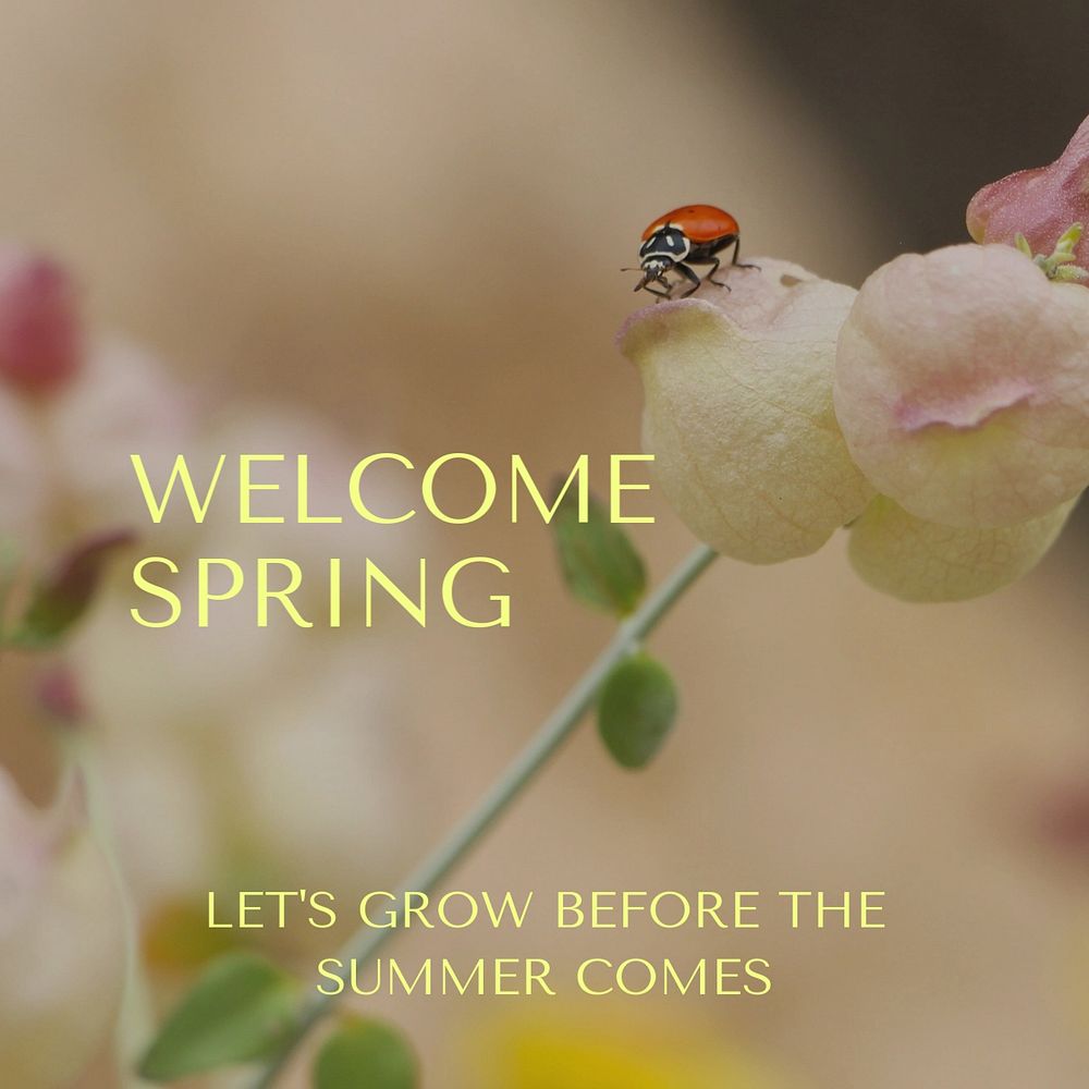 Welcome spring  Instagram post template, editable text