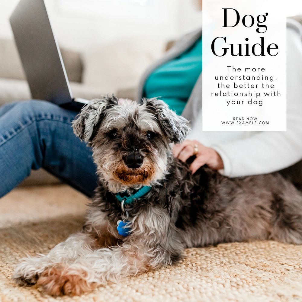 Dog guide Instagram post template, editable text