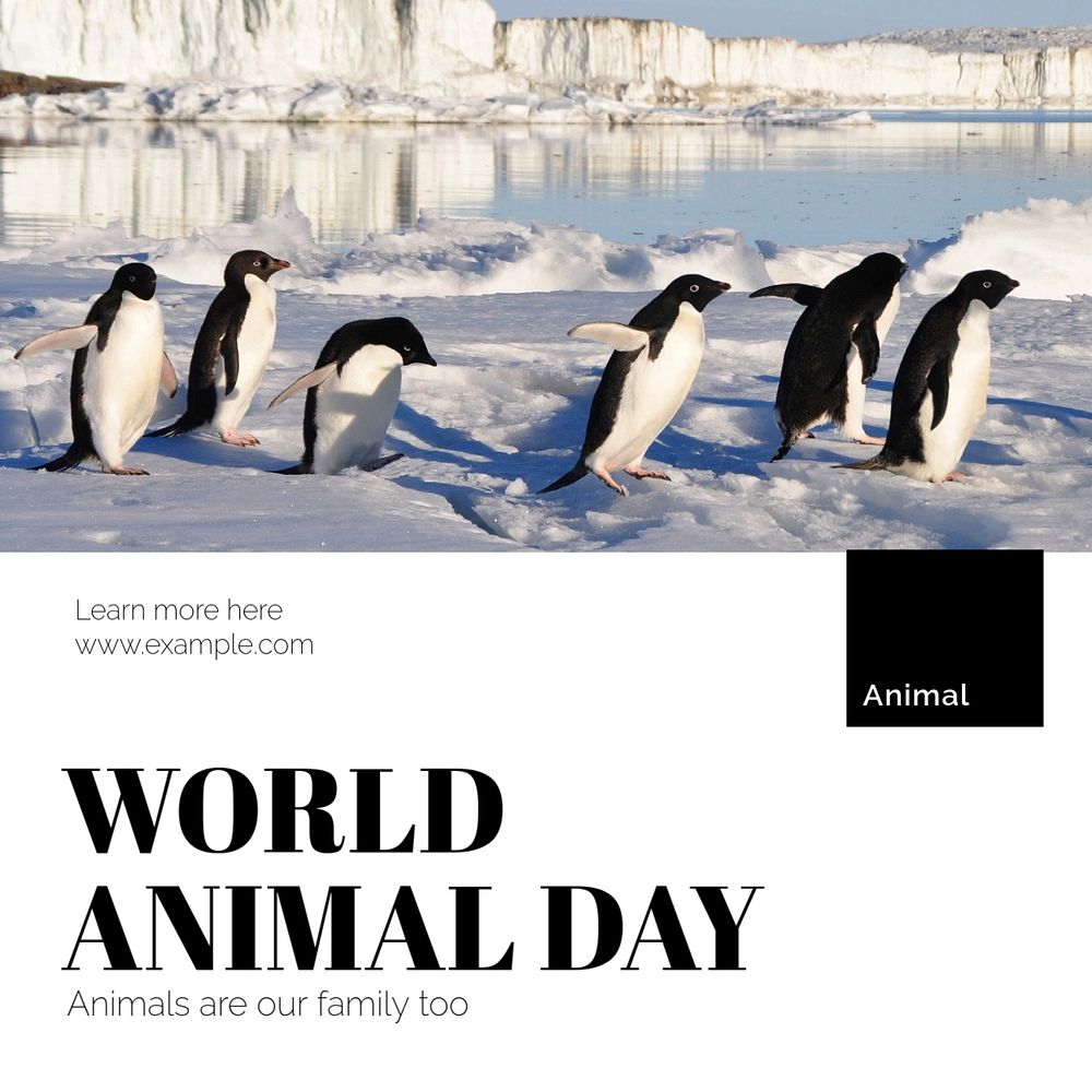 World animal day Instagram post template, editable text