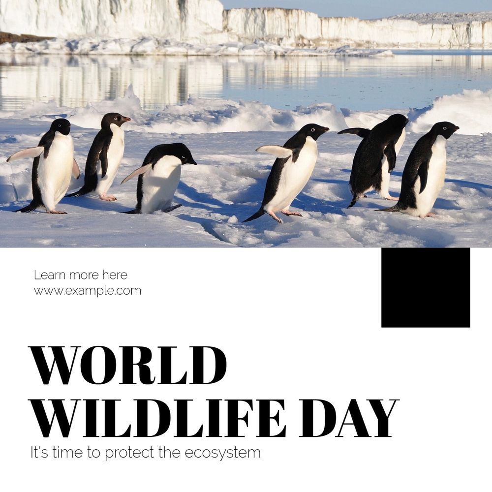 World wildlife day Instagram post template, editable text