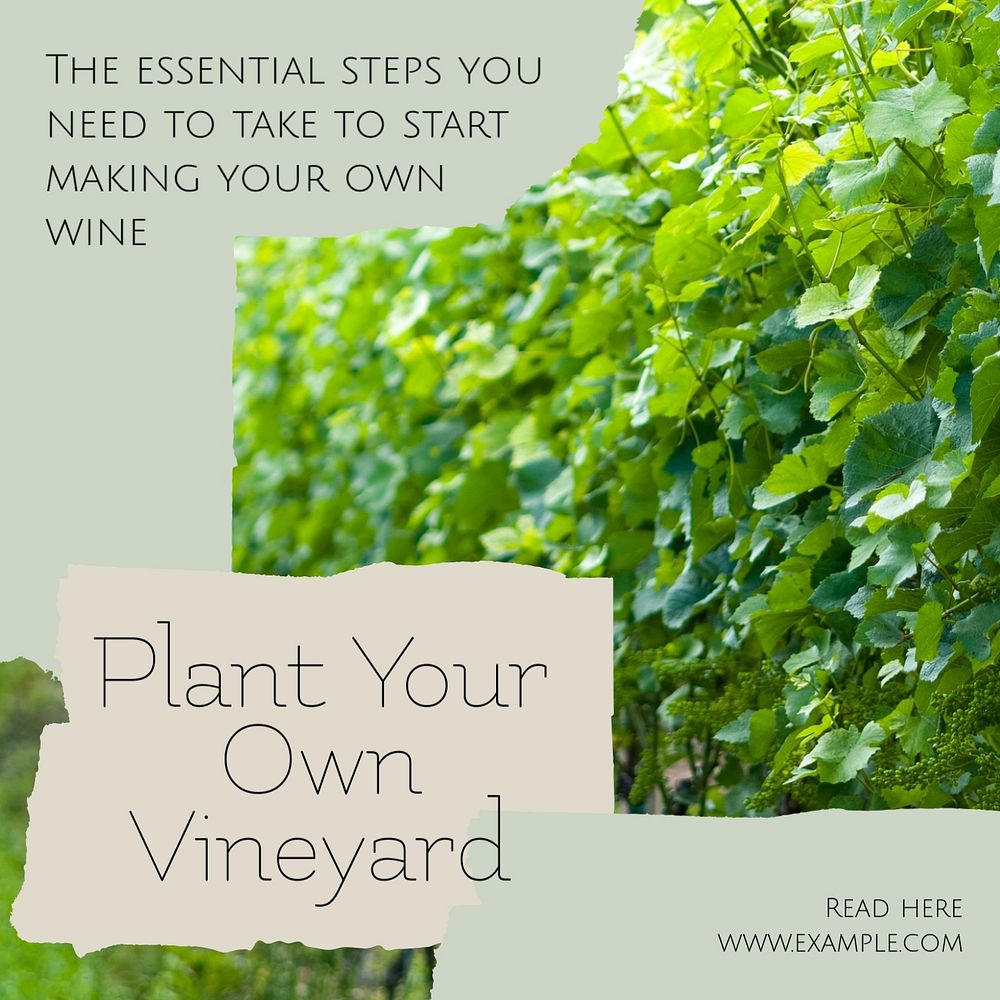 Plant your vineyard Instagram post template, editable text