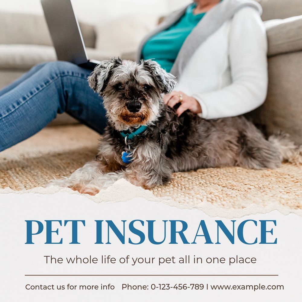 Pet Insurance Instagram post template, editable text