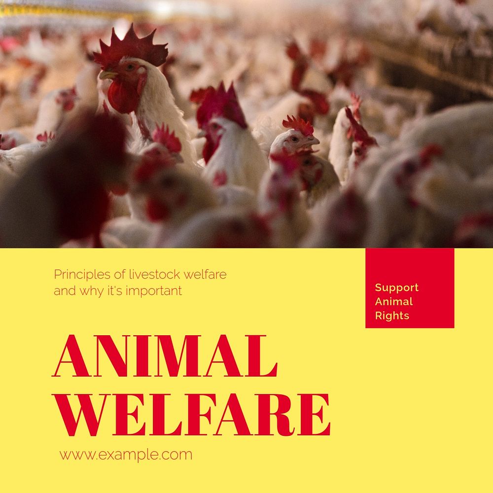 Animal welfare Instagram post template, editable text