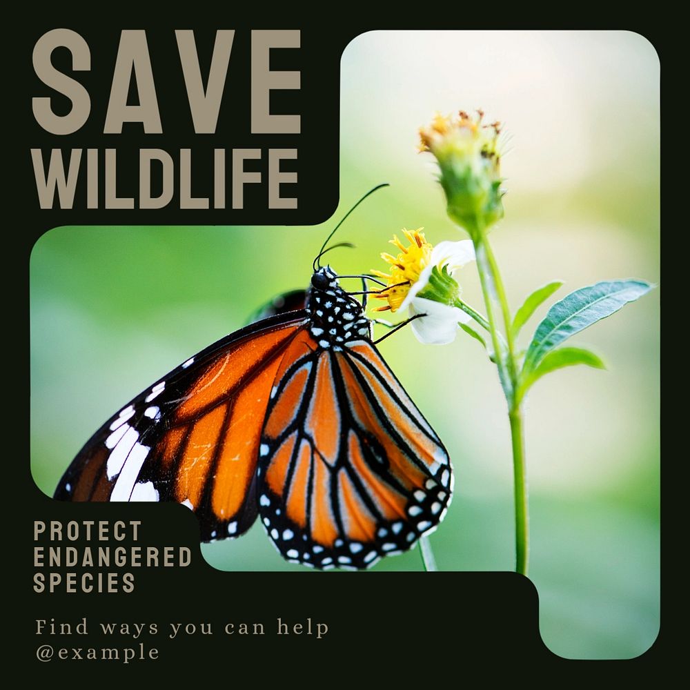 Save wildlife Instagram post template, editable text