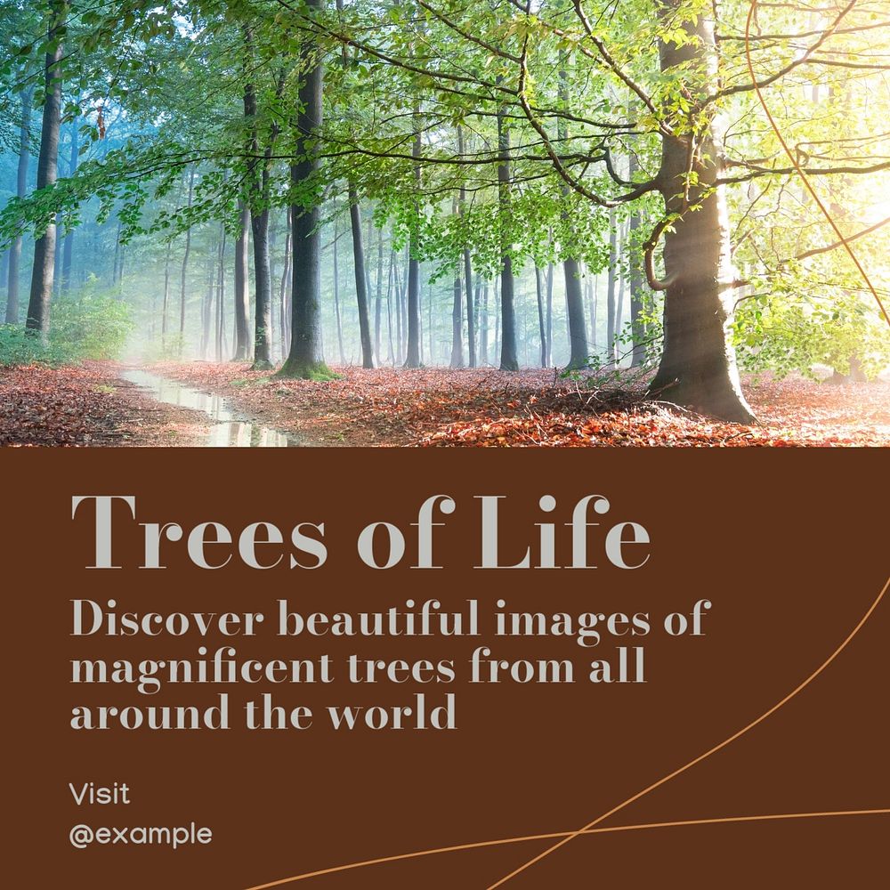 Trees of life Instagram post template, editable text