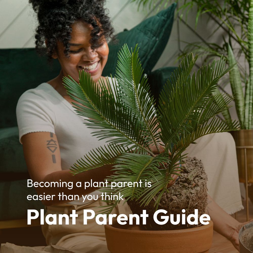 Plant parent guide Instagram post template, editable text