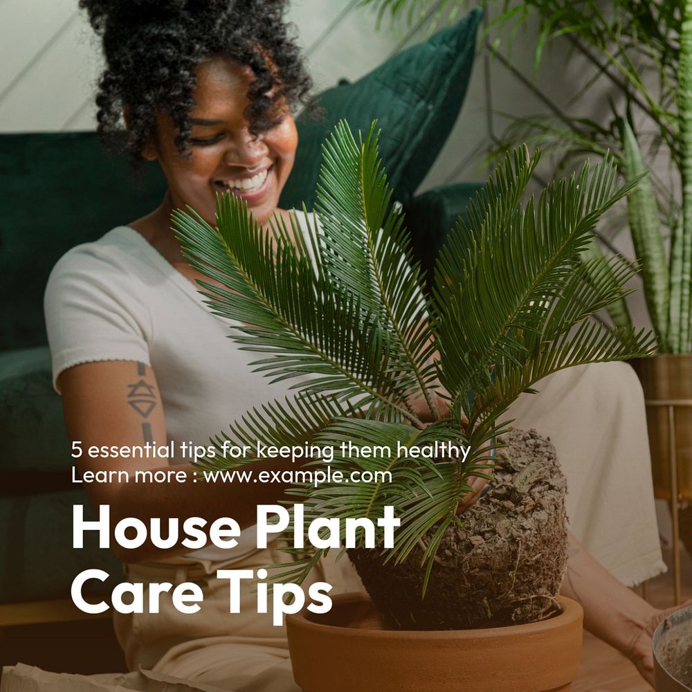 House plant care Instagram post template, editable text