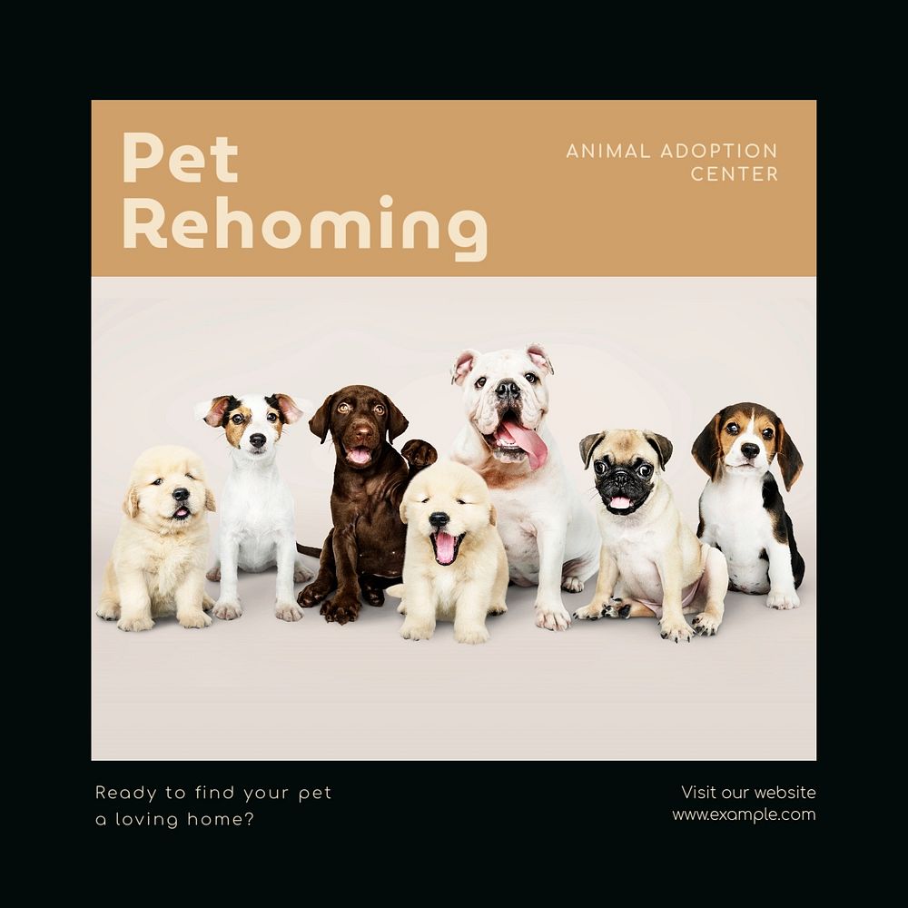 Pet adoption & rehoming Instagram post template, editable text