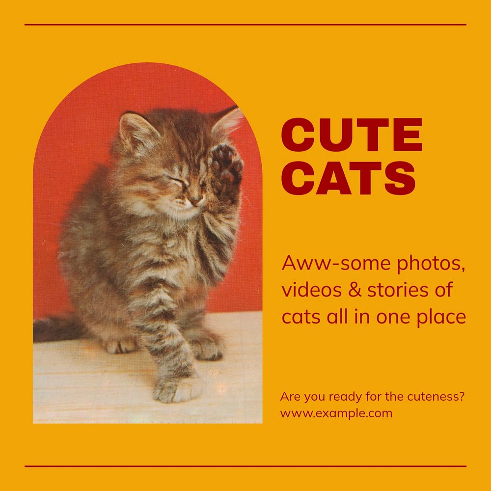 Cute cats Instagram post template, editable text