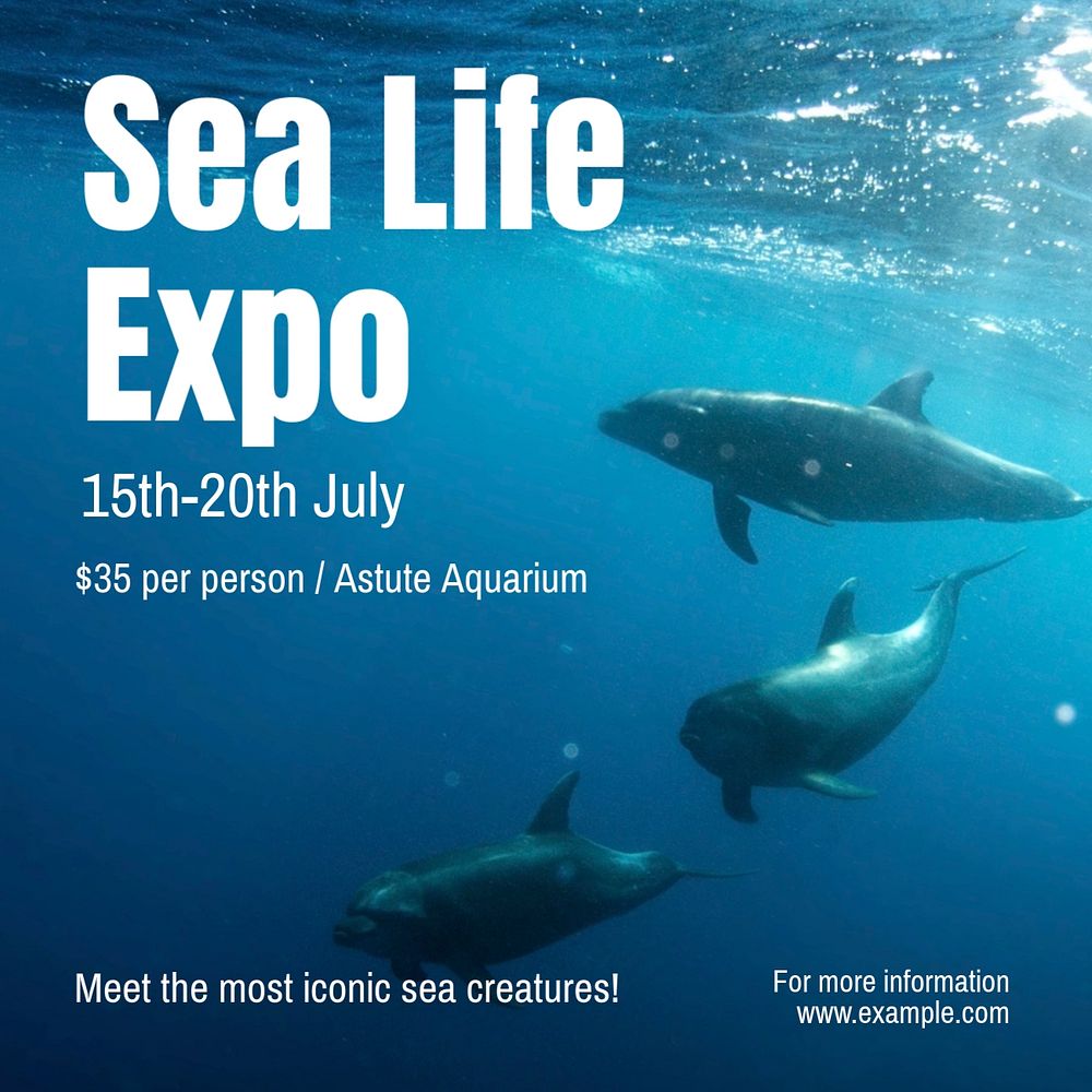 Sea life expo Instagram post template, editable text