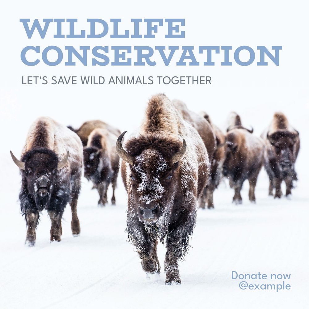 Wildlife conservation Instagram post template, editable text