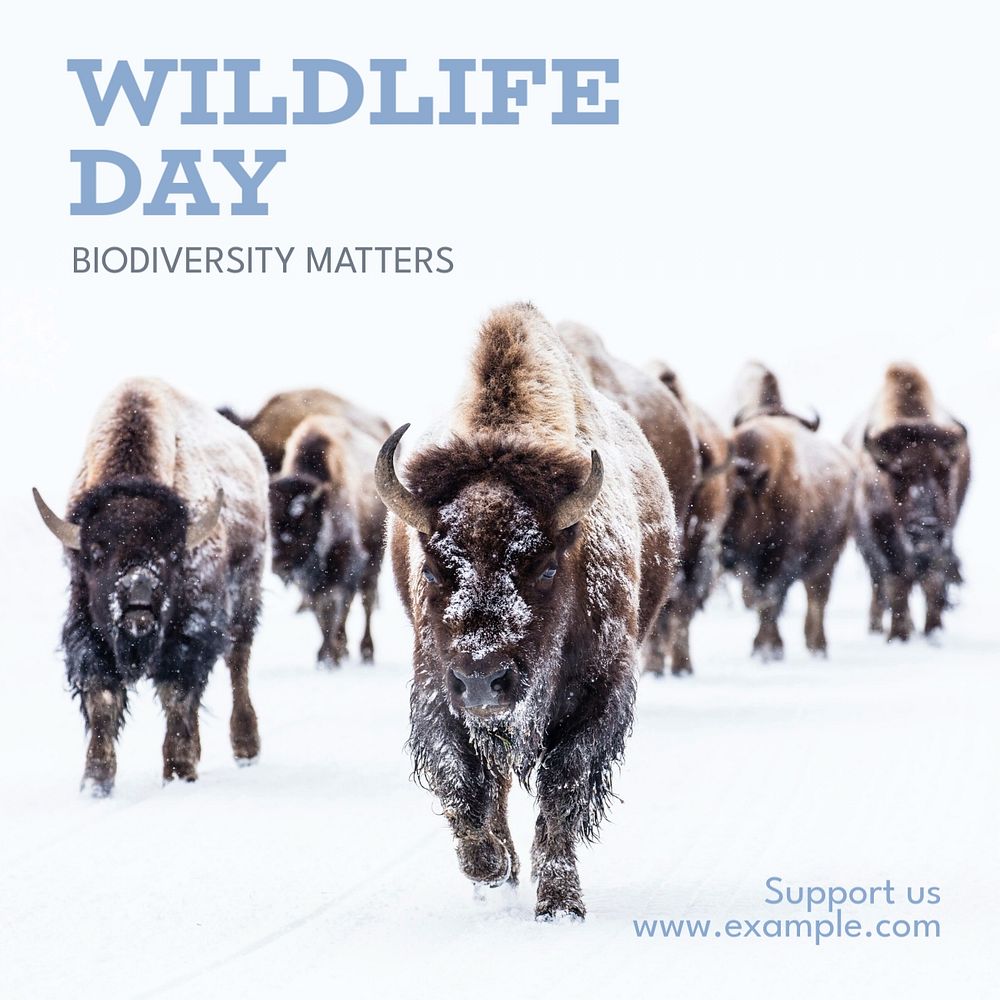 Wildlife day Instagram post template, editable text