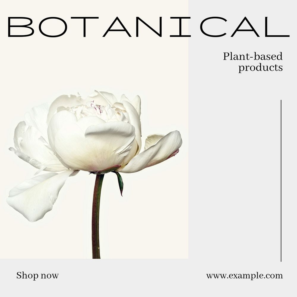 Botanical products Instagram post template, editable text