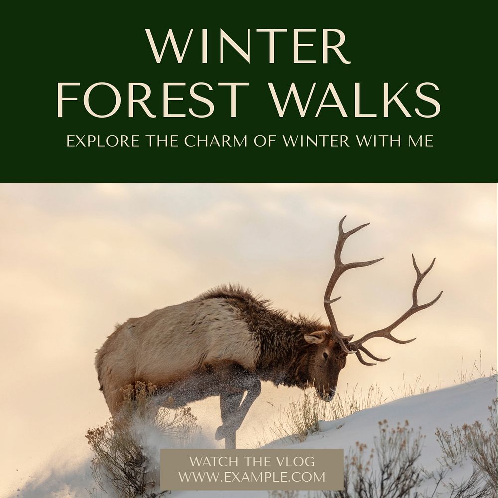 Winter forest walk Instagram post template, editable text