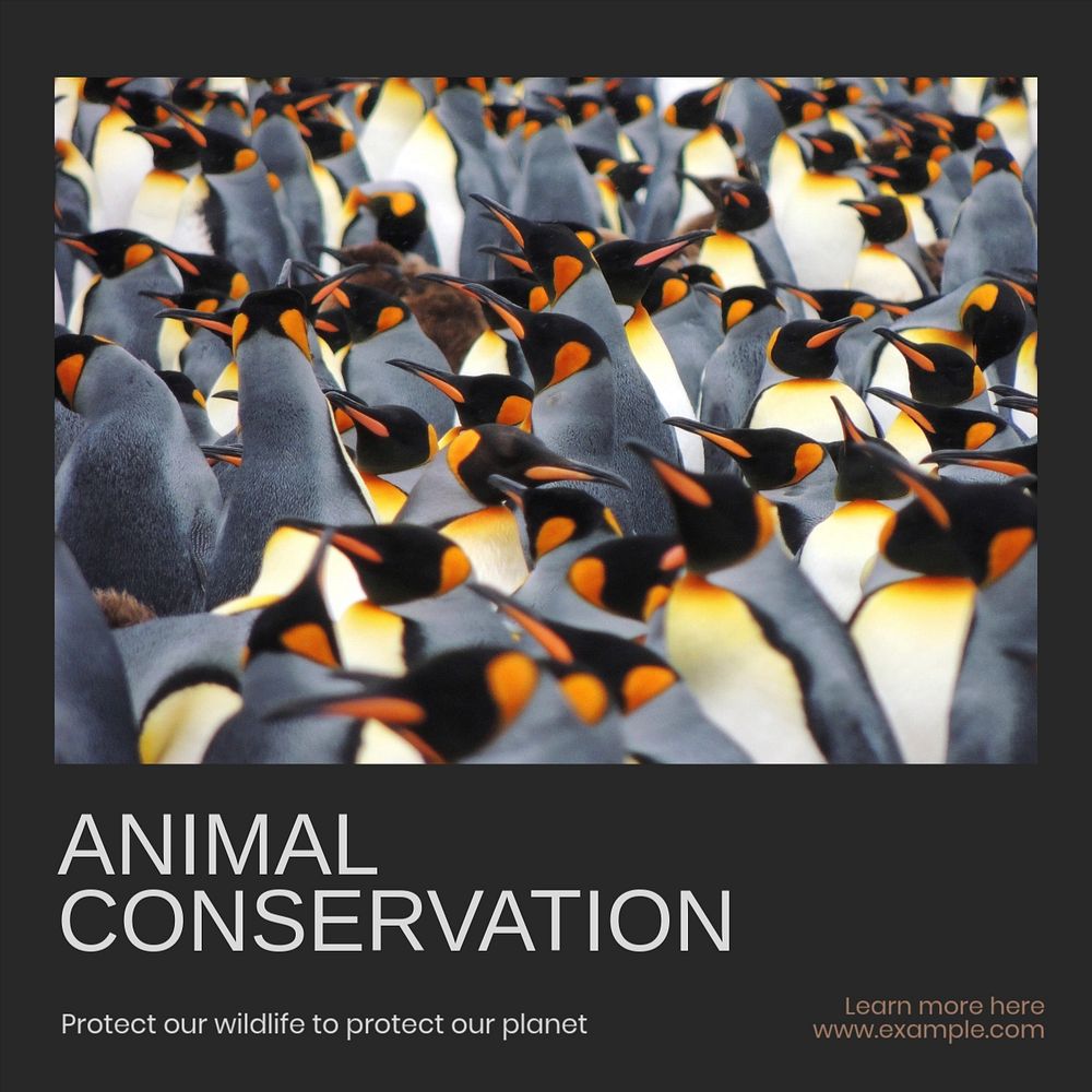 Animal conservation Instagram post template, editable text