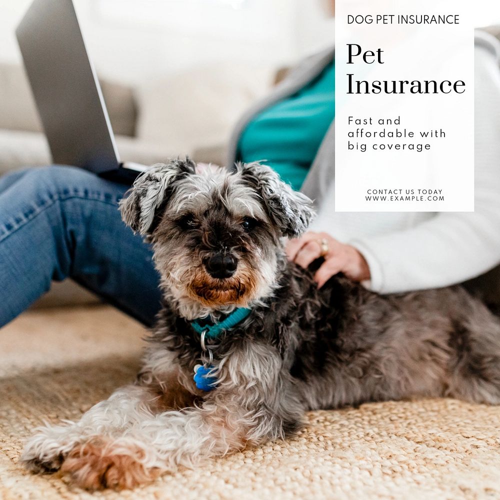 Pet insurance Instagram post template, editable text