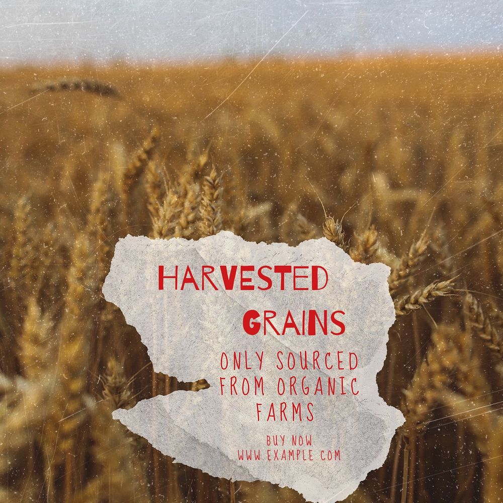 Organic grains Instagram post template, editable text