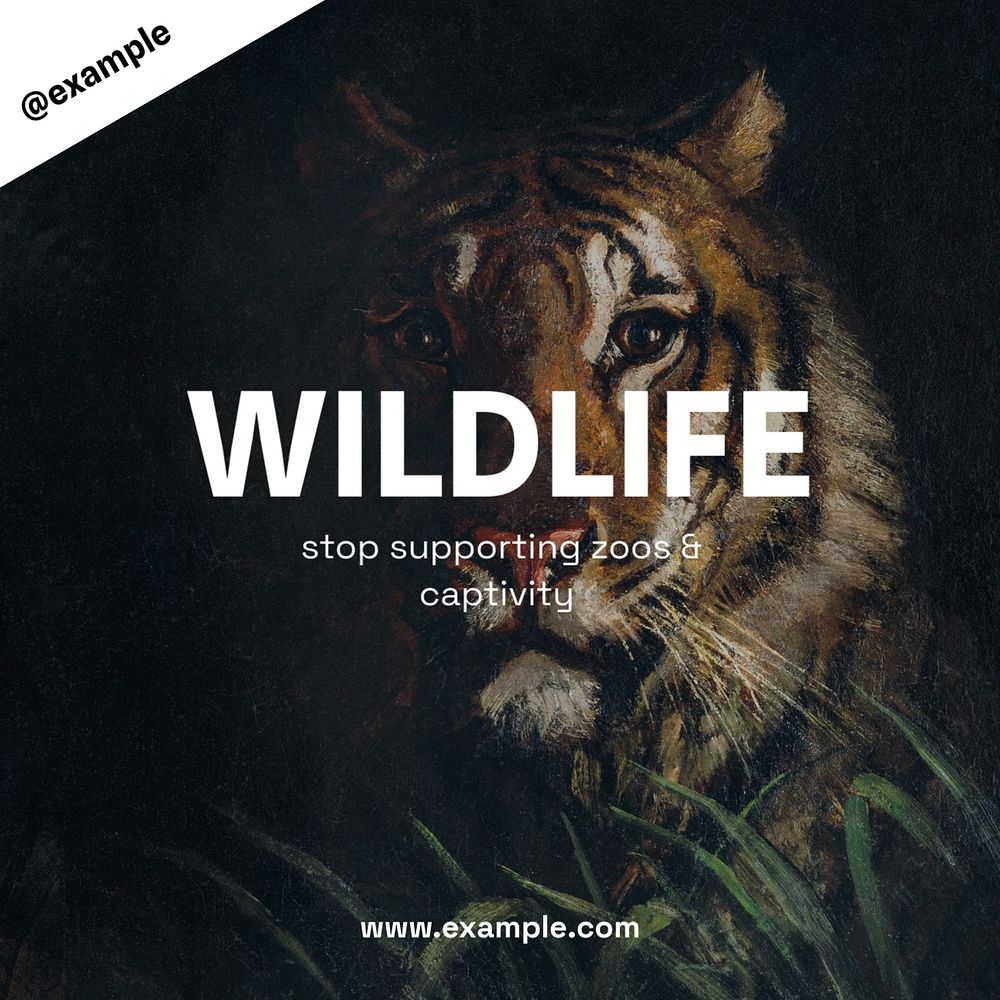 Stop wildlife captivity Instagram post template, editable text