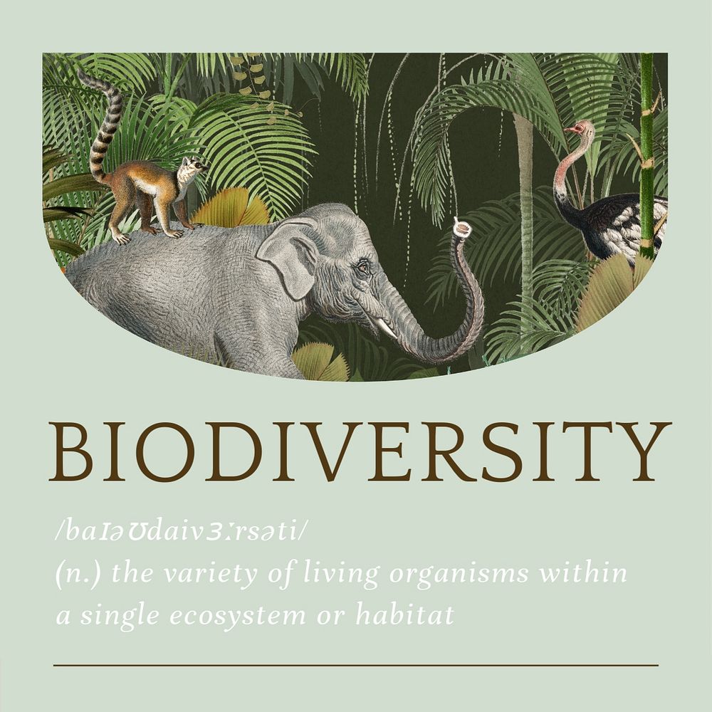 Biodiversity Instagram post template, editable text